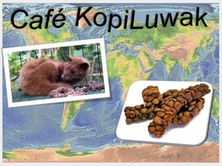 Presentação comidas