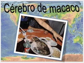 Presentação comidas