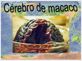 Presentação comidas