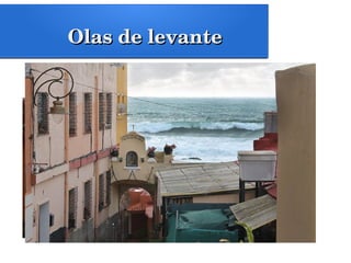 Olas de levanteOlas de levante
 
