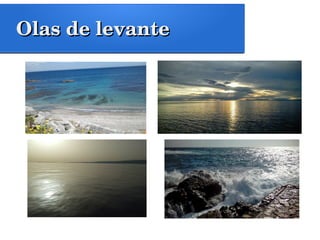 Olas de levanteOlas de levante
 