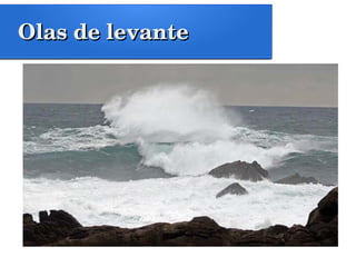 Olas de levanteOlas de levante
 