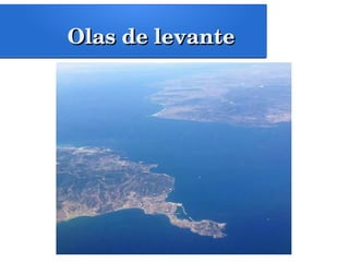 Olas de levanteOlas de levante
 