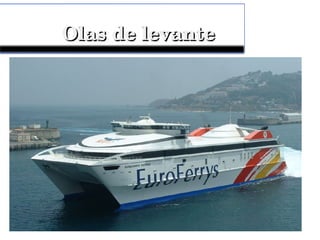 Olas de levanteOlas de levante
 