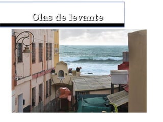 Olas de levanteOlas de levante
 