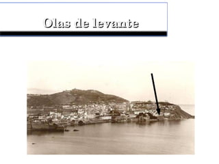 Olas de levanteOlas de levante
 