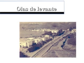 Olas de levanteOlas de levante
 