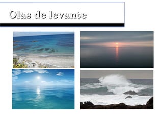 Olas de levanteOlas de levante
 