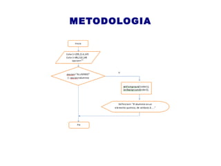 METODOLOGIA
 