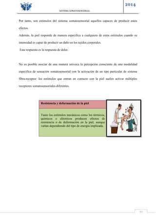 SISTEMA SOMATOSENSORIAL
2014
13
Por tanto, son estímulos del sistema somatosensorial aquellos capaces de producir estos
efectos.
Además, la piel responde de manera específica a cualquiera de estos estímulos cuando su
intensidad es capaz de producir un daño en los tejidos corporales.
Esta respuesta es la respuesta de dolor.
No es posible asociar de una manera unívoca la percepción consciente de una modalidad
específica de sensación somatosensorial con la activación de un tipo particular de sistema
fibra-receptor: los estímulos que entran en contacto con la piel suelen activar múltiples
receptores somatosensoriales diferentes.
Resistencia y deformación de la piel
Tanto los estímulos mecánicos como los térmicos,
químicos o eléctricos producen efectos de
resistencia o de deformación en la piel, aunque
varían dependiendo del tipo de energía implicada.
 