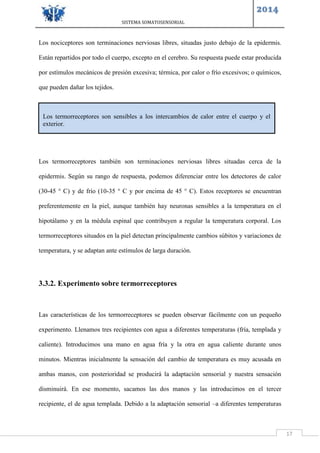 SISTEMA SOMATOSENSORIAL
2014
17
Los nociceptores son terminaciones nerviosas libres, situadas justo debajo de la epidermis.
Están repartidos por todo el cuerpo, excepto en el cerebro. Su respuesta puede estar producida
por estímulos mecánicos de presión excesiva; térmica, por calor o frío excesivos; o químicos,
que pueden dañar los tejidos.
Los termorreceptores también son terminaciones nerviosas libres situadas cerca de la
epidermis. Según su rango de respuesta, podemos diferenciar entre los detectores de calor
(30-45 ° C) y de frío (10-35 ° C y por encima de 45 ° C). Estos receptores se encuentran
preferentemente en la piel, aunque también hay neuronas sensibles a la temperatura en el
hipotálamo y en la médula espinal que contribuyen a regular la temperatura corporal. Los
termorreceptores situados en la piel detectan principalmente cambios súbitos y variaciones de
temperatura, y se adaptan ante estímulos de larga duración.
3.3.2. Experimento sobre termorreceptores
Las características de los termorreceptores se pueden observar fácilmente con un pequeño
experimento. Llenamos tres recipientes con agua a diferentes temperaturas (fría, templada y
caliente). Introducimos una mano en agua fría y la otra en agua caliente durante unos
minutos. Mientras inicialmente la sensación del cambio de temperatura es muy acusada en
ambas manos, con posterioridad se producirá la adaptación sensorial y nuestra sensación
disminuirá. En ese momento, sacamos las dos manos y las introducimos en el tercer
recipiente, el de agua templada. Debido a la adaptación sensorial –a diferentes temperaturas
Los termorreceptores son sensibles a los intercambios de calor entre el cuerpo y el
exterior.
 