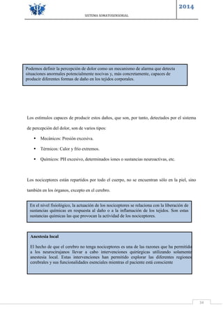 SISTEMA SOMATOSENSORIAL
2014
34
Los estímulos capaces de producir estos daños, que son, por tanto, detectados por el sistema
de percepción del dolor, son de varios tipos:
 Mecánicos: Presión excesiva.
 Térmicos: Calor y frío extremos.
 Químicos: PH excesivo, determinados iones o sustancias neuroactivas, etc.
Los nociceptores están repartidos por todo el cuerpo, no se encuentran sólo en la piel, sino
también en los órganos, excepto en el cerebro.
Podemos definir la percepción de dolor como un mecanismo de alarma que detecta
situaciones anormales potencialmente nocivas y, más concretamente, capaces de
producir diferentes formas de daño en los tejidos corporales.
En el nivel fisiológico, la actuación de los nociceptores se relaciona con la liberación de
sustancias químicas en respuesta al daño o a la inflamación de los tejidos. Son estas
sustancias químicas las que provocan la actividad de los nociceptores.
Anestesia local
El hecho de que el cerebro no tenga nociceptores es una de las razones que ha permitido
a los neurocirujanos llevar a cabo intervenciones quirúrgicas utilizando solamente
anestesia local. Estas intervenciones han permitido explorar las diferentes regiones
cerebrales y sus funcionalidades esenciales mientras el paciente está consciente
 