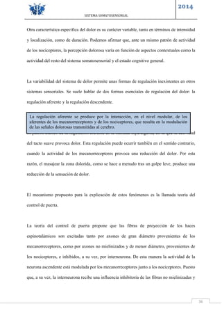 SISTEMA SOMATOSENSORIAL
2014
36
Otra característica específica del dolor es su carácter variable, tanto en términos de intensidad
y localización, como de duración. Podemos afirmar que, ante un mismo patrón de actividad
de los nociceptores, la percepción dolorosa varía en función de aspectos contextuales como la
actividad del resto del sistema somatosensorial y el estado cognitivo general.
La variabilidad del sistema de dolor permite unas formas de regulación inexistentes en otros
sistemas sensoriales. Se suele hablar de dos formas esenciales de regulación del dolor: la
regulación aferente y la regulación descendente.
El patrón clásico de la regulación aferente es la llamada hiperalgesia, en la que la actividad
del tacto suave provoca dolor. Esta regulación puede ocurrir también en el sentido contrario,
cuando la actividad de los mecanorreceptores provoca una reducción del dolor. Por esta
razón, el masajear la zona dolorida, como se hace a menudo tras un golpe leve, produce una
reducción de la sensación de dolor.
El mecanismo propuesto para la explicación de estos fenómenos es la llamada teoría del
control de puerta.
La teoría del control de puerta propone que las fibras de proyección de los haces
espinotalámicos son excitadas tanto por axones de gran diámetro provenientes de los
mecanorreceptores, como por axones no mielinizados y de menor diámetro, provenientes de
los nociceptores, e inhibidos, a su vez, por interneurona. De esta manera la actividad de la
neurona ascendente está modulada por los mecanorreceptores junto a los nociceptores. Puesto
que, a su vez, la interneurona recibe una influencia inhibitoria de las fibras no mielinizadas y
La regulación aferente se produce por la interacción, en el nivel medular, de los
aferentes de los mecanorreceptores y de los nociceptores, que resulta en la modulación
de las señales dolorosas transmitidas al cerebro.
 