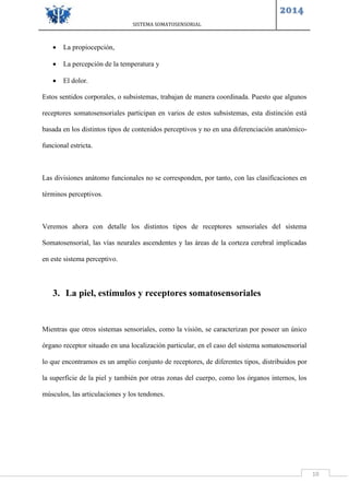 SISTEMA SOMATOSENSORIAL
2014
10
 La propiocepción,
 La percepción de la temperatura y
 El dolor.
Estos sentidos corporales, o subsistemas, trabajan de manera coordinada. Puesto que algunos
receptores somatosensoriales participan en varios de estos subsistemas, esta distinción está
basada en los distintos tipos de contenidos perceptivos y no en una diferenciación anatómico-
funcional estricta.
Las divisiones anàtomo funcionales no se corresponden, por tanto, con las clasificaciones en
términos perceptivos.
Veremos ahora con detalle los distintos tipos de receptores sensoriales del sistema
Somatosensorial, las vías neurales ascendentes y las áreas de la corteza cerebral implicadas
en este sistema perceptivo.
3. La piel, estímulos y receptores somatosensoriales
Mientras que otros sistemas sensoriales, como la visión, se caracterizan por poseer un único
órgano receptor situado en una localización particular, en el caso del sistema somatosensorial
lo que encontramos es un amplio conjunto de receptores, de diferentes tipos, distribuidos por
la superficie de la piel y también por otras zonas del cuerpo, como los órganos internos, los
músculos, las articulaciones y los tendones.
 