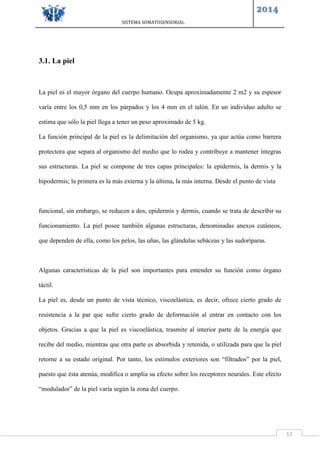 SISTEMA SOMATOSENSORIAL
2014
11
3.1. La piel
La piel es el mayor órgano del cuerpo humano. Ocupa aproximadamente 2 m2 y su espesor
varía entre los 0,5 mm en los párpados y los 4 mm en el talón. En un individuo adulto se
estima que sólo la piel llega a tener un peso aproximado de 5 kg.
La función principal de la piel es la delimitación del organismo, ya que actúa como barrera
protectora que separa al organismo del medio que lo rodea y contribuye a mantener íntegras
sus estructuras. La piel se compone de tres capas principales: la epidermis, la dermis y la
hipodermis; la primera es la más externa y la última, la más interna. Desde el punto de vista
funcional, sin embargo, se reducen a dos, epidermis y dermis, cuando se trata de describir su
funcionamiento. La piel posee también algunas estructuras, denominadas anexos cutáneos,
que dependen de ella, como los pelos, las uñas, las glándulas sebáceas y las sudoríparas.
Algunas características de la piel son importantes para entender su función como órgano
táctil.
La piel es, desde un punto de vista técnico, viscoelástica, es decir, ofrece cierto grado de
resistencia a la par que sufre cierto grado de deformación al entrar en contacto con los
objetos. Gracias a que la piel es viscoelástica, trasmite al interior parte de la energía que
recibe del medio, mientras que otra parte es absorbida y retenida, o utilizada para que la piel
retorne a su estado original. Por tanto, los estímulos exteriores son “filtrados” por la piel,
puesto que ésta atenúa, modifica o amplía su efecto sobre los receptores neurales. Este efecto
“modulador” de la piel varía según la zona del cuerpo.
 