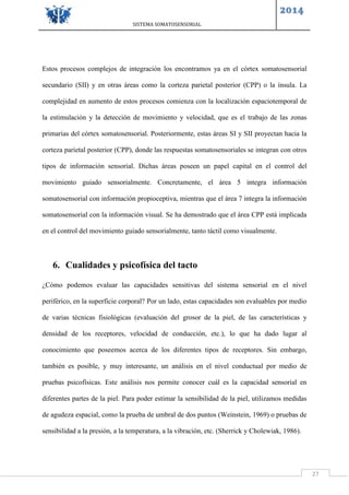 SISTEMA SOMATOSENSORIAL
2014
27
Estos procesos complejos de integración los encontramos ya en el córtex somatosensorial
secundario (SII) y en otras áreas como la corteza parietal posterior (CPP) o la ínsula. La
complejidad en aumento de estos procesos comienza con la localización espaciotemporal de
la estimulación y la detección de movimiento y velocidad, que es el trabajo de las zonas
primarias del córtex somatosensorial. Posteriormente, estas áreas SI y SII proyectan hacia la
corteza parietal posterior (CPP), donde las respuestas somatosensoriales se integran con otros
tipos de información sensorial. Dichas áreas poseen un papel capital en el control del
movimiento guiado sensorialmente. Concretamente, el área 5 integra información
somatosensorial con información propioceptiva, mientras que el área 7 integra la información
somatosensorial con la información visual. Se ha demostrado que el área CPP está implicada
en el control del movimiento guiado sensorialmente, tanto táctil como visualmente.
6. Cualidades y psicofísica del tacto
¿Cómo podemos evaluar las capacidades sensitivas del sistema sensorial en el nivel
periférico, en la superficie corporal? Por un lado, estas capacidades son evaluables por medio
de varias técnicas fisiológicas (evaluación del grosor de la piel, de las características y
densidad de los receptores, velocidad de conducción, etc.), lo que ha dado lugar al
conocimiento que poseemos acerca de los diferentes tipos de receptores. Sin embargo,
también es posible, y muy interesante, un análisis en el nivel conductual por medio de
pruebas psicofísicas. Este análisis nos permite conocer cuál es la capacidad sensorial en
diferentes partes de la piel. Para poder estimar la sensibilidad de la piel, utilizamos medidas
de agudeza espacial, como la prueba de umbral de dos puntos (Weinstein, 1969) o pruebas de
sensibilidad a la presión, a la temperatura, a la vibración, etc. (Sherrick y Cholewiak, 1986).
 