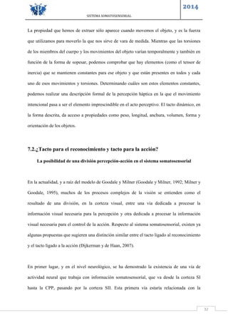 SISTEMA SOMATOSENSORIAL
2014
32
La propiedad que hemos de extraer sólo aparece cuando movemos el objeto, y es la fuerza
que utilizamos para moverlo la que nos sirve de vara de medida. Mientras que las torsiones
de los miembros del cuerpo y los movimientos del objeto varían temporalmente y también en
función de la forma de sopesar, podemos comprobar que hay elementos (como el tensor de
inercia) que se mantienen constantes para ese objeto y que están presentes en todos y cada
uno de esos movimientos y torsiones. Determinando cuáles son estos elementos constantes,
podemos realizar una descripción formal de la percepción háptica en la que el movimiento
intencional pasa a ser el elemento imprescindible en el acto perceptivo. El tacto dinámico, en
la forma descrita, da acceso a propiedades como peso, longitud, anchura, volumen, forma y
orientación de los objetos.
7.2.¿Tacto para el reconocimiento y tacto para la acción?
La posibilidad de una división percepción-acción en el sistema somatosensorial
En la actualidad, y a raíz del modelo de Goodale y Milner (Goodale y Milner, 1992; Milner y
Goodale, 1995), muchos de los procesos complejos de la visión se entienden como el
resultado de una división, en la corteza visual, entre una vía dedicada a procesar la
información visual necesaria para la percepción y otra dedicada a procesar la información
visual necesaria para el control de la acción. Respecto al sistema somatosensorial, existen ya
algunas propuestas que sugieren una distinción similar entre el tacto ligado al reconocimiento
y el tacto ligado a la acción (Dijkerman y de Haan, 2007).
En primer lugar, y en el nivel neurológico, se ha demostrado la existencia de una vía de
actividad neural que trabaja con información somatosensorial, que va desde la corteza SI
hasta la CPP, pasando por la corteza SII. Esta primera vía estaría relacionada con la
 