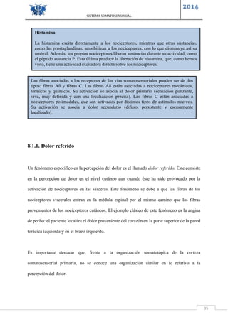 SISTEMA SOMATOSENSORIAL
2014
35
8.1.1. Dolor referido
Un fenómeno específico en la percepción del dolor es el llamado dolor referido. Éste consiste
en la percepción de dolor en el nivel cutáneo aun cuando éste ha sido provocado por la
activación de nociceptores en las vísceras. Este fenómeno se debe a que las fibras de los
nociceptores viscerales entran en la médula espinal por el mismo camino que las fibras
provenientes de los nociceptores cutáneos. El ejemplo clásico de este fenómeno es la angina
de pecho: el paciente localiza el dolor proveniente del corazón en la parte superior de la pared
torácica izquierda y en el brazo izquierdo.
Es importante destacar que, frente a la organización somatotópica de la corteza
somatosensorial primaria, no se conoce una organización similar en lo relativo a la
percepción del dolor.
Histamina
La histamina excita directamente a los nociceptores, mientras que otras sustancias,
como las prostaglandinas, sensibilizan a los nociceptores, con lo que disminuye así su
umbral. Además, los propios nociceptores liberan sustancias durante su actividad, como
el péptido sustancia P. Esta última produce la liberación de histamina, que, como hemos
visto, tiene una actividad excitadora directa sobre los nociceptores.
Las fibras asociadas a los receptores de las vías somatosensoriales pueden ser de dos
tipos: fibras Aδ y fibras C. Las fibras Aδ están asociadas a nociceptores mecánicos,
térmicos y químicos. Su activación se asocia al dolor primario (sensación punzante,
viva, muy definida y con una localización precisa). Las fibras C están asociadas a
nociceptores polimodales, que son activados por distintos tipos de estímulos nocivos.
Su activación se asocia a dolor secundario (difuso, persistente y escasamente
localizado).
 