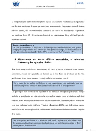 SISTEMA SOMATOSENSORIAL
2014
39
El comportamiento de los termorreceptores explica los peculiares resultados de la experiencia
con los dos recipientes de agua que sugerimos anteriormente. Las proyecciones al sistema
nervioso central, que son virtualmente idénticas a las vías de los nociceptores, se producen
por medio de fibras Aδ y C: ambas en el caso de los receptores de frío y sólo las C para los
receptores de calor
9. Alteraciones del tacto: déficits sensoriales, el miembro
fantasma y las agnosias táctiles
Las alteraciones en el sistema somatosensorial, como ocurre en el caso de otros sistemas
sensoriales, pueden ser agrupadas en función de si los daños se producen en las vías
periféricas o si son alteraciones en el trabajo del sistema nervioso central.
Las patologías más habituales se engloban en las llamadas neuropatías periféricas, aunque
también se englobarían en esta categoría otros daños locales como el síndrome del túnel
carpiano. Estas patologías son el resultado de distintos factores, como una pérdida de mielina,
en el caso en la neuropatía periférica (Travieso y Lederman, 2007), o un síndrome de presión
o sección de los nervios periféricos, como ocurre en el caso del síndrome del túnel carpiano
de la mano.
Temperatura del cerebro
Un caso que demuestra la importancia de la temperatura es el del cerebro, que, por su
complejidad, requiere una más estable que otras partes del cuerpo, de tal manera que es
vital que se mantenga alrededor de los 37° y no supere los 40,5° (Stevens, 1991).
En el caso de los daños periféricos, lo que encontramos son patologías que se
caracterizan por una alteración de la conducción nerviosa en el nivel periférico.
Las neuropatías periféricas y el síndrome del túnel carpiano son alteraciones que
devienen normalmente en aumentos significativos de los umbrales sensoriales, es decir,
en una pérdida de sensibilidad.
 