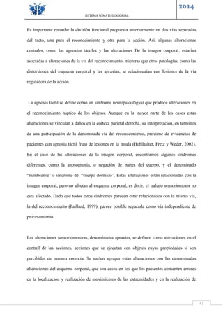 SISTEMA SOMATOSENSORIAL
2014
41
Es importante recordar la división funcional propuesta anteriormente en dos vías separadas
del tacto, una para el reconocimiento y otra para la acción. Así, algunas alteraciones
centrales, como las agnosias táctiles y las alteraciones De la imagen corporal, estarían
asociadas a alteraciones de la vía del reconocimiento, mientras que otras patologías, como las
distorsiones del esquema corporal y las apraxias, se relacionarían con lesiones de la vía
reguladora de la acción.
La agnosia táctil se define como un síndrome neuropsicológico que produce alteraciones en
el reconocimiento háptico de los objetos. Aunque en la mayor parte de los casos estas
alteraciones se vinculan a daños en la corteza parietal derecha, su interpretación, en términos
de una participación de la denominada vía del reconocimiento, proviene de evidencias de
pacientes con agnosia táctil fruto de lesiones en la ínsula (Bohlhalter, Fretz y Weder, 2002).
En el caso de las alteraciones de la imagen corporal, encontramos algunos síndromes
diferentes, como la anosognosia, o negación de partes del cuerpo, y el denominado
“numbsense” o síndrome del “cuerpo dormido”. Estas alteraciones están relacionadas con la
imagen corporal, pero no afectan al esquema corporal, es decir, el trabajo sensoriomotor no
está afectado. Dado que todos estos síndromes parecen estar relacionados con la misma vía,
la del reconocimiento (Paillard, 1999), parece posible separarla como vía independiente de
procesamiento.
Las alteraciones sensoriomotoras, denominadas apraxias, se definen como alteraciones en el
control de las acciones, acciones que se ejecutan con objetos cuyas propiedades sí son
percibidas de manera correcta. Se suelen agrupar estas alteraciones con las denominadas
alteraciones del esquema corporal, que son casos en los que los pacientes comenten errores
en la localización y realización de movimientos de las extremidades y en la realización de
 