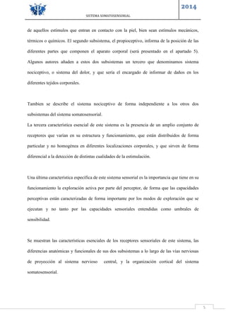 SISTEMA SOMATOSENSORIAL
2014
5
de aquellos estímulos que entran en contacto con la piel, bien sean estímulos mecánicos,
térmicos o químicos. El segundo subsistema, el propioceptivo, informa de la posición de las
diferentes partes que componen el aparato corporal (será presentado en el apartado 5).
Algunos autores añaden a estos dos subsistemas un tercero que denominamos sistema
nociceptivo, o sistema del dolor, y que sería el encargado de informar de daños en los
diferentes tejidos corporales.
Tambien se describe el sistema nociceptivo de forma independiente a los otros dos
subsistemas del sistema somatosensorial.
La tercera característica esencial de este sistema es la presencia de un amplio conjunto de
receptores que varían en su estructura y funcionamiento, que están distribuidos de forma
particular y no homogénea en diferentes localizaciones corporales, y que sirven de forma
diferencial a la detección de distintas cualidades de la estimulación.
Una última característica específica de este sistema sensorial es la importancia que tiene en su
funcionamiento la exploración activa por parte del perceptor, de forma que las capacidades
perceptivas están caracterizadas de forma importante por los modos de exploración que se
ejecutan y no tanto por las capacidades sensoriales entendidas como umbrales de
sensibilidad.
Se muestran las características esenciales de los receptores sensoriales de este sistema, las
diferencias anatómicas y funcionales de sus dos subsistemas a lo largo de las vías nerviosas
de proyección al sistema nervioso central, y la organización cortical del sistema
somatosensorial.
 
