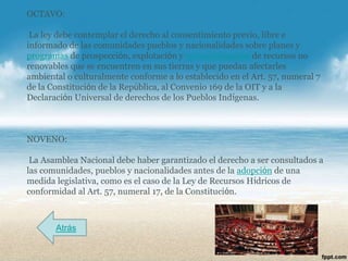 OCTAVO:

 La ley debe contemplar el derecho al consentimiento previo, libre e
informado de las comunidades pueblos y nacionalidades sobre planes y
programas de prospección, explotación y comercialización de recursos no
renovables que se encuentren en sus tierras y que puedan afectarles
ambiental o culturalmente conforme a lo establecido en el Art. 57, numeral 7
de la Constitución de la República, al Convenio 169 de la OIT y a la
Declaración Universal de derechos de los Pueblos Indígenas.



NOVENO:

 La Asamblea Nacional debe haber garantizado el derecho a ser consultados a
las comunidades, pueblos y nacionalidades antes de la adopción de una
medida legislativa, como es el caso de la Ley de Recursos Hídricos de
conformidad al Art. 57, numeral 17, de la Constitución.



       Atrás
 