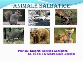 ANIMALE SALBATICE
Prof.Inv.-Draghici Andreea-Georgiana
Sc. cu cls. I-IV Moara Noua ,Berceni
 