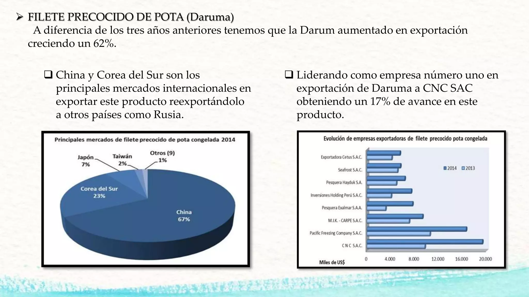  FILETE PRECOCIDO DE POTA (Daruma)
A diferencia de los tres años anteriores tenemos que la Darum aumentado en exportación
creciendo un 62%.
 China y Corea del Sur son los
principales mercados internacionales en
exportar este producto reexportándolo
a otros países como Rusia.
 Liderando como empresa número uno en
exportación de Daruma a CNC SAC
obteniendo un 17% de avance en este
producto.
 
