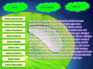Sistem pencernaan
                    Pengertian respirasi (pernafasan) adalah proses
Sistem Pernapasan   pengambilan gas oksigen dari lingkungan dan
                    pengeluaran karbon dioksida dari dalam tubuh
Sistem Peredaran    makhluk hidup. Bernafas merupakan salah satu ciri
                    utama makhluk hidup. Proses pertukaran gas oksigen
 Sistem Ekskresi    dan karbon dioksida berlangsung secara difusi. oksigen
                    akan menuju semua sel dalam semua jaringan melalui
  Sistem Rangka     alat-alat pernafasan.Alat pernafasan manusia terdiri
                    dari rongga hidung, faring, trakea, bronkus, dan paru-
   Sistem Otot      paru. Bila salah satu organ pernafasan tidak mampu
                    berfungsi secara normal maka bisa mempengaruhi kerja
 Sistem Endokrin
                    sistem pernafasan secara umum. Berikut ini penjelasan
   Sistem Saraf
                    daftar nama alat pernafasan beserta fungsinya.

Sistem Reproduksi
 