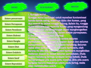 1. Rongga mulut
Sistem pencernaan   Rongga mulut berfungsi untuk menahan kontaminasi
                    benda-benda asing, misalnya debu dan kuman, yang
Sistem Pernapasan   ikut masuk ke dalam rongga hidung. Selain itu, rongga
                    mulut manusia juga memiliki konka yang mengandung
Sistem Peredaran    banyak kapiler darah sehingga dapat menghangatkan
                    udara yang akan masuk ke dalam sistem pernapasan.
 Sistem Ekskresi    2. Pangkal tenggorokan (Faring)
                    Faring merupakan pertemuan antara saluran
  Sistem Rangka     pernafasan (nasofarings) di bagian depan dan saluran
                    pencernaan (orofarings) di bagian belakang. Saluran
   Sistem Otot      nafas akan terbuka ketika manusia berbicara, oleh
                    karena itu jika kita makan sambil berbicara mungkinkan
 Sistem Endokrin
                    makanan masuk ke dalam saluran pernafasan. Pada
   Sistem Saraf
                    bagian belakang farings terdapat laring (tekak). Pada
                    laring terdapat pita suara (pita vocalis). Bila pita suara
Sistem Reproduksi   bergetar karena masuknya udara pada faring, maka
                    akan menimbulkan suara.
 