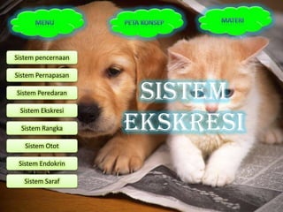 Sistem pencernaan

Sistem Pernapasan

Sistem Peredaran
                     Sistem
 Sistem Ekskresi

  Sistem Rangka     Ekskresi
   Sistem Otot

 Sistem Endokrin

   Sistem Saraf
 