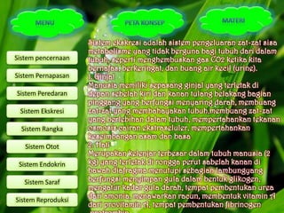 Sistem ekskresi adalah sistem pengeluaran zat-zat sisa
                    metabolisme yang tidak berguna bagi tubuh dari dalam
Sistem pencernaan   tubuh, seperti menghembuskan gas CO2 ketika kita
                    bernafas, berkeringat, dan buang air kecil (urine).
Sistem Pernapasan   1. Ginjal
                    Manusia memiliki sepasang ginjal yang terletak di
Sistem Peredaran    depan sebelah kiri dan kanan tulang belakang bagian
                    pinggang yang berfungsi menyaring darah, membuang
 Sistem Ekskresi    zat-zat yang membahayakan tubuh,membuang zat-zat
                    yang berlebihan dalam tubuh, mempertahankan tekanan
  Sistem Rangka     osmosis cairan ekstraseluler, mempertahankan
                    keseimbangan asam dan basa
   Sistem Otot      2. Hati
                    Merupakan kelenjar terbesar dalam tubuh manusia (2
 Sistem Endokrin    kg) yang terletak di rongga perut sabelah kanan di
                    bawah diafragma menutupi sebagian lambungyang
   Sistem Saraf     berfungsi menyimpan gula dalam bentuk glikogen,
                    mengatur kadar gula darah, tempat pembentukan urea
Sistem Reproduksi
                    dari amonia, menawarkan racun, membentuk vitamin A
                    dari provitamin A, tempat pembentukan fibrinogen
 