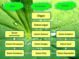 Organ

                    Sistem organ

     Sistem
                    Sistem Ekskresi    Sistem Endokrin
   pencernaan


Sistem Pernapasan   Sistem Rangka       Sistem Saraf



Sistem Peredaran     Sistem Otot      Sistem Reproduksi
 