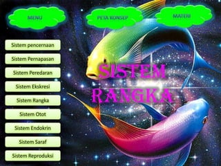 Sistem pencernaan

Sistem Pernapasan

Sistem Peredaran
                     Sistem
 Sistem Ekskresi

  Sistem Rangka     Rangka
   Sistem Otot

 Sistem Endokrin

   Sistem Saraf

Sistem Reproduksi
 