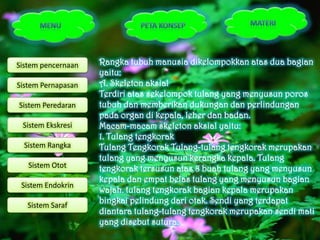 Sistem pencernaan   Rangka tubuh manusia dikelompokkan atas dua bagian
                    yaitu:
Sistem Pernapasan   A. Skeleton aksial
                    Terdiri atas sekelompok tulang yang menyusun poros
Sistem Peredaran    tubuh dan memberikan dukungan dan perlindungan
                    pada organ di kepala, leher dan badan.
 Sistem Ekskresi    Macam-macam skeleton aksial yaitu:
                    1. Tulang tengkorak
  Sistem Rangka     Tulang Tengkorak Tulang-tulang tengkorak merupakan
                    tulang yang menyusun kerangka kepala. Tulang
   Sistem Otot      tengkorak tersusun atas 8 buah tulang yang menyusun
                    kepala dan empat belas tulang yang menyusun bagian
 Sistem Endokrin
                    wajah. tulang tengkorak bagian kepala merupakan
   Sistem Saraf
                    bingkai pelindung dari otak. Sendi yang terdapat
                    diantara tulang-tulang tengkorak merupakan sendi mati
                    yang disebut sutura.
 