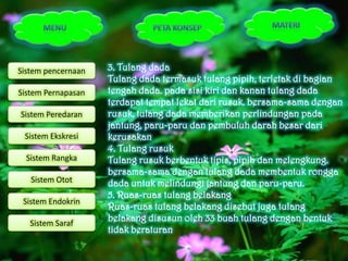 Sistem pencernaan   3. Tulang dada
                    Tulang dada termasuk tulang pipih, terletak di bagian
Sistem Pernapasan   tengah dada. pada sisi kiri dan kanan tulang dada
                    terdapat tempat lekat dari rusuk. bersama-sama dengan
Sistem Peredaran    rusuk, tulang dada memberikan perlindungan pada
                    jantung, paru-paru dan pembuluh darah besar dari
 Sistem Ekskresi    kerusakan
                    4. Tulang rusuk
  Sistem Rangka     Tulang rusuk berbentuk tipis, pipih dan melengkung.
                    bersama-sama dengan tulang dada membentuk rongga
   Sistem Otot      dada untuk melindungi jantung dan paru-paru.
                    5. Ruas-ruas tulang belakang
 Sistem Endokrin
                    Ruas-ruas tulang belakang disebut juga tulang
   Sistem Saraf
                    belakang disusun oleh 33 buah tulang dengan bentuk
                    tidak beraturan
 