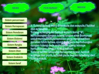 Sistem pencernaan

Sistem Pernapasan   3. Tulang gelang bahu (klavikula dan scapula / belikat
                    dan selangka)
Sistem Peredaran    Tulang selangka berbentuk seperti huruf "S",
                    berhubungan dengan tulang lengan atas (humerus)
 Sistem Ekskresi    untuk membentuk persendian yang menghasilkan
                    gerakan lebih bebas, ujung yang satu berhubungan
  Sistem Rangka     dengan tulang dada sedangkan ujung lainnya
                    berhubungan dengan tulang belikat.
   Sistem Otot      Tulang belikat (skapula) berukuran besar, bentuk
                    segitiga dan pipih, terletak pada bagian belakang dari
 Sistem Endokrin
                    tulang rusuk.
   Sistem Saraf
 