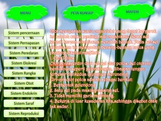 Sistem pencernaan   Otot merupakan suatu organ/alat yang dapat bergerak
                    ini adalah sutau penting bagi organisme. Gerak sel
Sistem Pernapasan   terjadi karena sitoplasma merubah bentuk. Pada sel-sel
                    sitoplasma ini merupakan benang-benang halus yang
Sistem Peredaran    panjang disebut miofibril.
                    1. Otot Polos
 Sistem Ekskresi    Otot polos terdiri dari sel-sel otot polos. Sel otot ini
                    bentuknya seperti gelendongan, dibagian tengan
  Sistem Rangka     terbesar dankedua ujungnya meruncing.
                    Ciri-ciri otot polos adalah sebagai berikut:
   Sistem Otot      1. Berbentuk gelendong
                    2. Satu sel pada masing-masing sel.
 Sistem Endokrin
                    3. Tidak memiliki garis melintang.
   Sistem Saraf
                    4. Bekerja di luar kesadaran kita,sehingga disebut otak
                    tak sadar.
Sistem Reproduksi
 