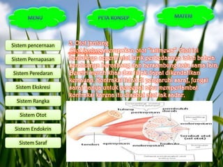 Sistem pencernaan   3. Otot jantung
                    Otot jantung merupakan otot “istimewa”. Otot ini
Sistem Pernapasan   bentuknya seperti otot lurik perbedaanya ialah bahwa
                    serabutnya bercabang dan bersambung satu sama lain.
Sistem Peredaran    Berciri merah khas dan tidak dapat dikendalikan
                    kemauan. Kontraksi tidak di pengaruhi saraf, fungsi
 Sistem Ekskresi    saraf hanya untuk percepat atau memperlambat
                    kontraksi karena itu disebut otot tak sadar.
  Sistem Rangka

   Sistem Otot

 Sistem Endokrin

   Sistem Saraf
 