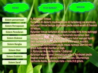 Sistem pencernaan   4. Kelenjar Timus
                    Terletak di dalarn mediastinum di belakang os sternum,
Sistem Pernapasan   kelenjar timus hanya dijumpai pada anak-anak di bawah
                    18 tahun.
Sistem Peredaran    Kelenjar timus terletak di dalam toraks kira-kira setinggi
                    bifurkasi trakea, warnanya kemerah-merahan dan
 Sistem Ekskresi    terdiri atas 2 lobus. Pada bayi baru lahir sangat kecil
                    dan-beratnya kira-kira 10grarn atau lebih sedikit.
  Sistem Rangka     Ukurannya bertambah pada masa remaja dari 30-40
                    gram kemudian berkerut lagi.
   Sistem Otot      5. Kelenjar Supra Renalis / Adrenal
                    Kelenjer suprarenal jumlahnya ada 2, terdapat pada
 Sistem Endokrin
                    bagian atas dari ginjal kiri dan kanan. Ukurannya
   Sistem Saraf
                    berbeda-beda, beratnya rata – rata 5-9 gram.
 
