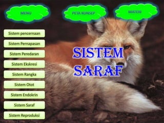 Sistem pencernaan

Sistem Pernapasan

Sistem Peredaran
                    Sistem
 Sistem Ekskresi

  Sistem Rangka     Saraf
   Sistem Otot

 Sistem Endokrin

   Sistem Saraf

Sistem Reproduksi
 