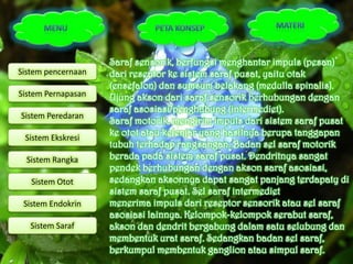 Saraf sensorik, berfungsi menghantar impuls (pesan)
Sistem pencernaan   dari reseptor ke sistem saraf pusat, yaitu otak
                    (ensefalon) dan sumsum belakang (medulla spinalis).
Sistem Pernapasan   Ujung akson dari saraf sensorik berhubungan dengan
                    saraf asosiasi/penghubung (intermediet).
Sistem Peredaran
                    Saraf motorik, mengirim impuls dari sistem saraf pusat
 Sistem Ekskresi
                    ke otot atau kelenjar yang hasilnya berupa tanggapan
                    tubuh terhadap rangsangan. Badan sel saraf motorik
  Sistem Rangka     berada pada sistem saraf pusat. Dendritnya sangat
                    pendek berhubungan dengan akson saraf asosiasi,
   Sistem Otot      sedangkan aksonnya dapat sangat panjang terdapaty di
                    sistem saraf pusat. Sel saraf intermediet
 Sistem Endokrin    menerima impuls dari reseptor sensorik atau sel saraf
                    asosiasi lainnya. Kelompok-kelompok serabut saraf,
   Sistem Saraf     akson dan dendrit bergabung dalam satu selubung dan
                    membentuk urat saraf. Sedangkan badan sel saraf,
                    berkumpul membentuk ganglion atau simpul saraf.
 