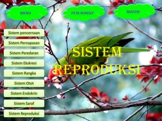 Sistem pencernaan

Sistem Pernapasan

Sistem Peredaran
                      Sistem
 Sistem Ekskresi

  Sistem Rangka     Reproduksi
   Sistem Otot

 Sistem Endokrin

   Sistem Saraf

Sistem Reproduksi
 
