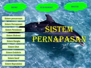 Sistem pencernaan

Sistem Pernapasan

Sistem Peredaran
                       Sistem
 Sistem Ekskresi

  Sistem Rangka     Pernapasan
   Sistem Otot

 Sistem Endokrin

   Sistem Saraf

Sistem Reproduksi
 