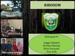 RIBOSOM
Kelompok IV
Anggi Cahyanti
M.Irfan Fahrizal
Ririn Purwanti
Yuni Asih
Dr.H.ELFIS,M.si
Ribosome Groups
 