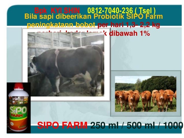 0812 7040 236 Tsel Pupuk Hidroponik Pupuk Anggrek 