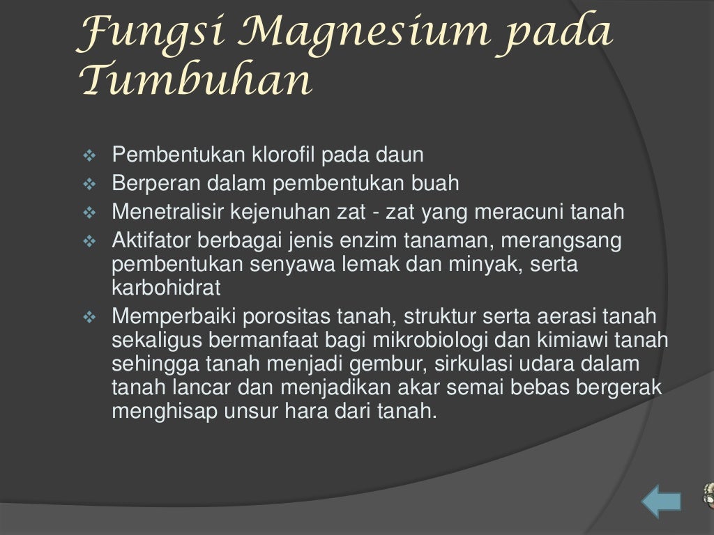 Magnesium Kalsium Sulfur Magnesium Kalsium Sulfur