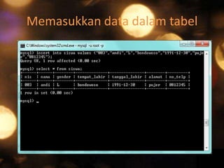 Memasukkan data dalam tabel

 