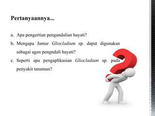 a. Apa pengertian pengandalian hayati?
b. Mengapa Jamur Gliocladium sp. dapat digunakan
sebagai agen pengndali hayati?
c. Seperti apa pengaplikasian Gliocladium sp. pada
penyakit tanaman?
Pertanyaannya...
 