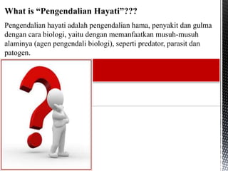 Pengendalian hayati adalah pengendalian hama, penyakit dan gulma
dengan cara biologi, yaitu dengan memanfaatkan musuh-musuh
alaminya (agen pengendali biologi), seperti predator, parasit dan
patogen.
What is “Pengendalian Hayati”???
 